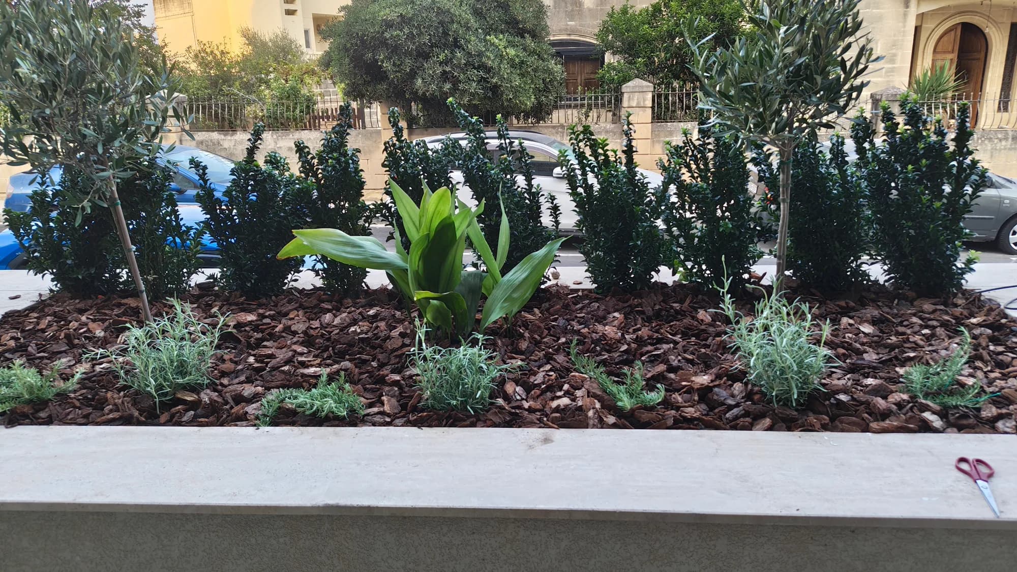 Garden by Bloomish